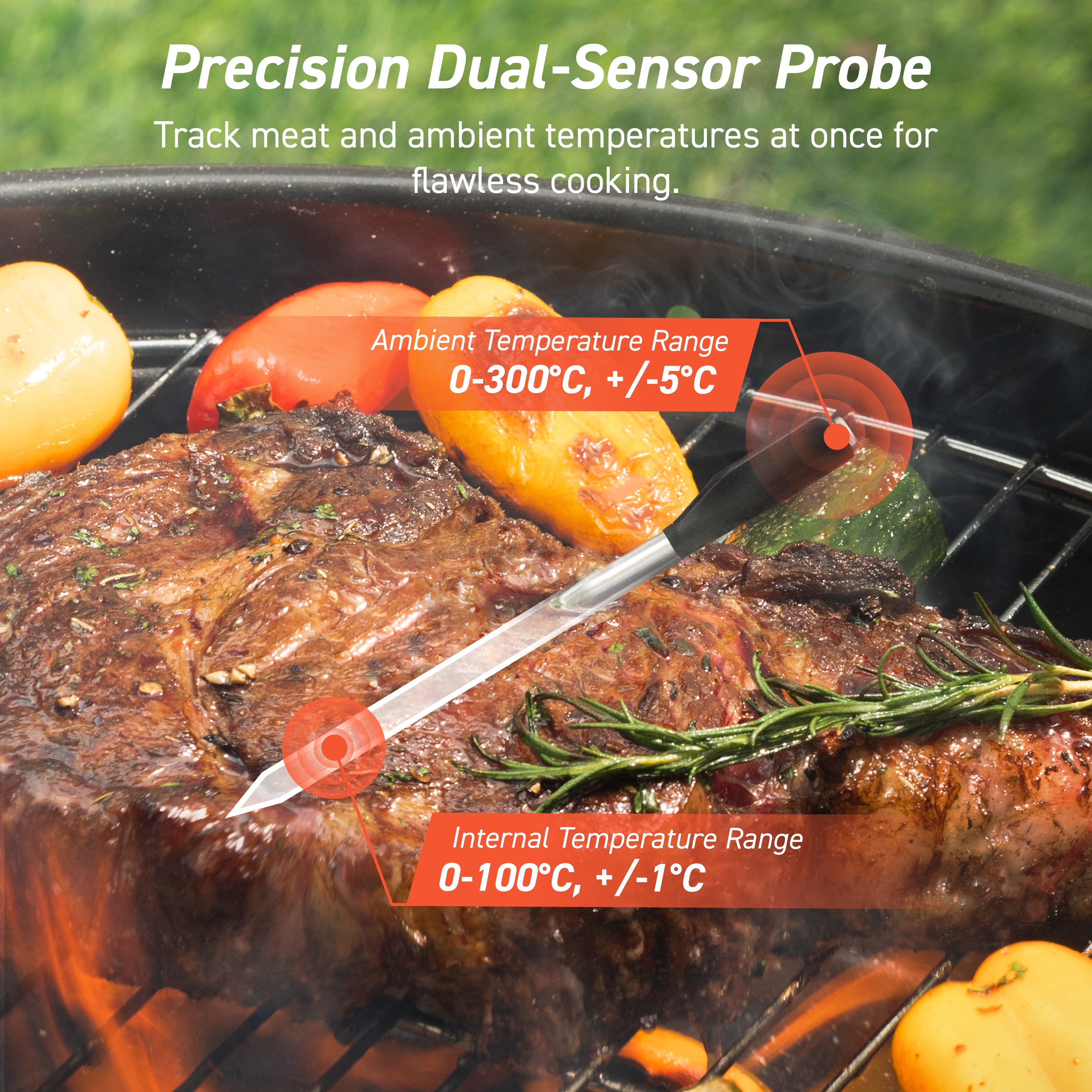 COSORI Smart Wireless Meat Thermometer Probe